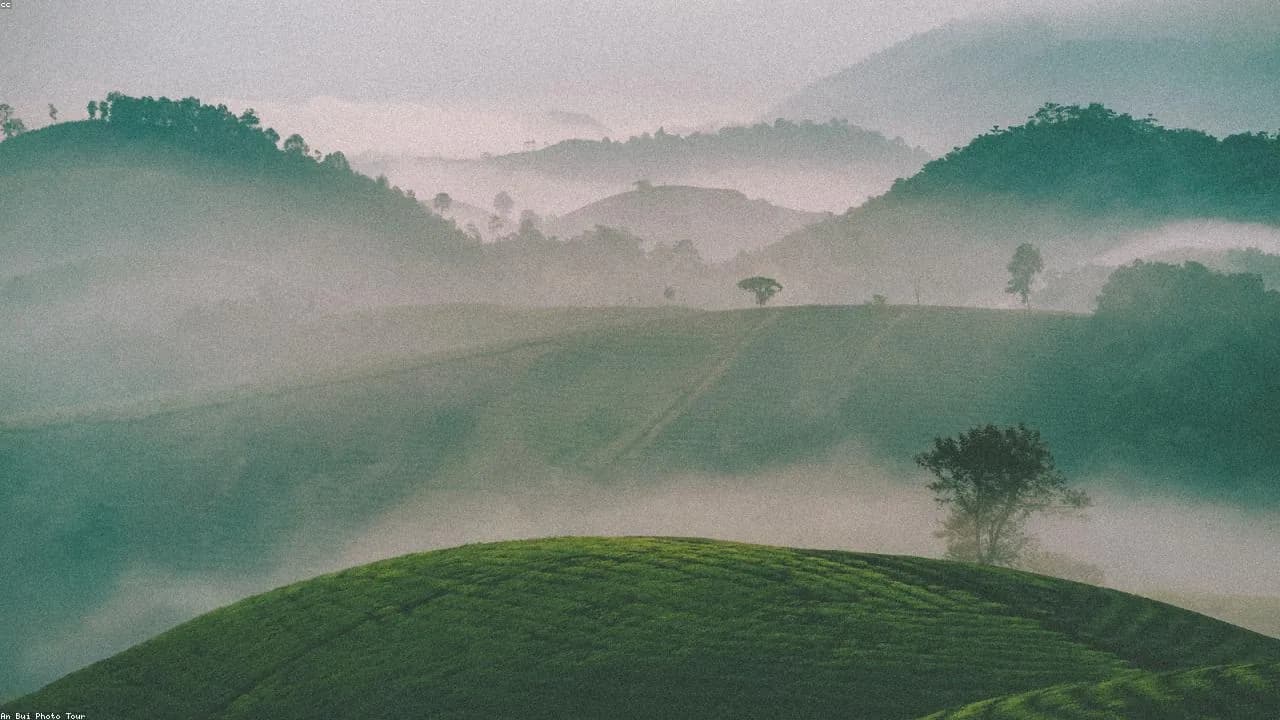 Top 7 địa điểm du lịch Tam Đảo trong 1 ngày